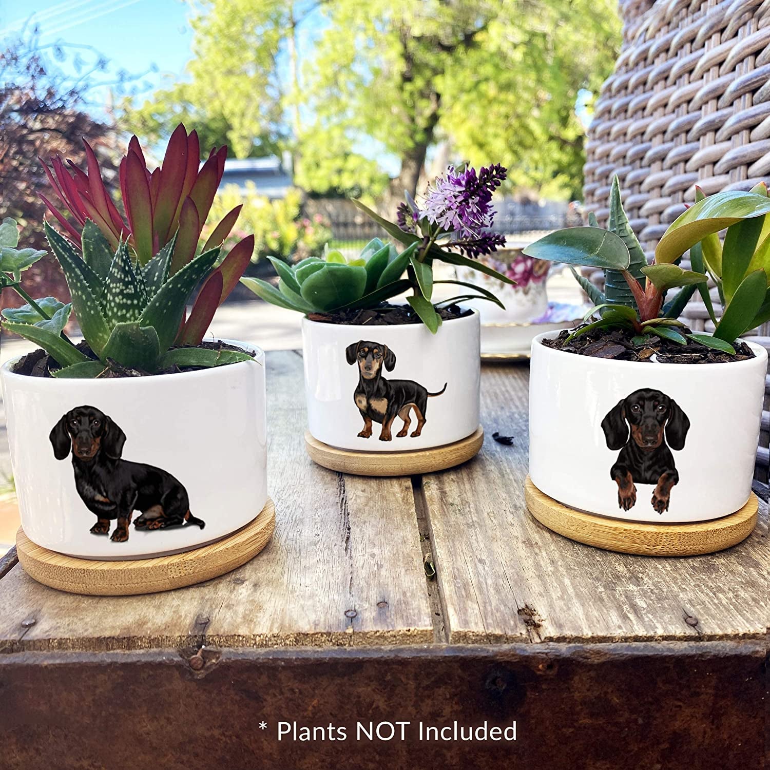 Dachshund Gifts for Women - Perfect for Birthday or Christmas, Our Weiner Dog Succulent Planters Are Unforgettable Daschund Gifts for Women and Arrive Beautifully Gift Boxed for Christmas