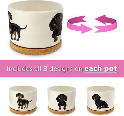 Dachshund Gifts for Women - Perfect for Birthday or Christmas, Our Weiner Dog Succulent Planters Are Unforgettable Daschund Gifts for Women and Arrive Beautifully Gift Boxed for Christmas